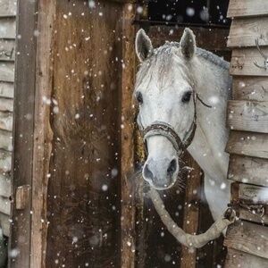 ❤️ I LOVE Reasonable Offers, Just don't Lowball Me ❤️